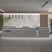 Executive Aesthetic Reception Desks Simple Company Best Desks Modern Luxury Salon Industrial Escritorio Commercial Furniture